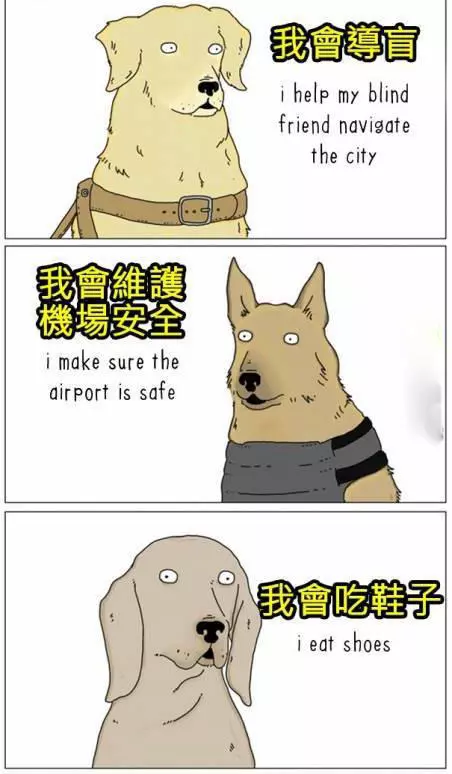 8張動物們內心真實想法爆笑插圖,讓你再也不敢直視你的寵物了