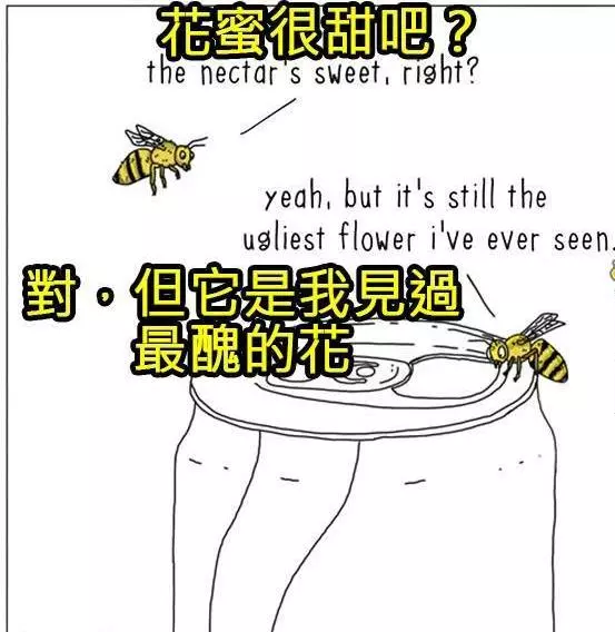 8張動物們內心真實想法爆笑插圖,讓你再也不敢直視你的寵物了