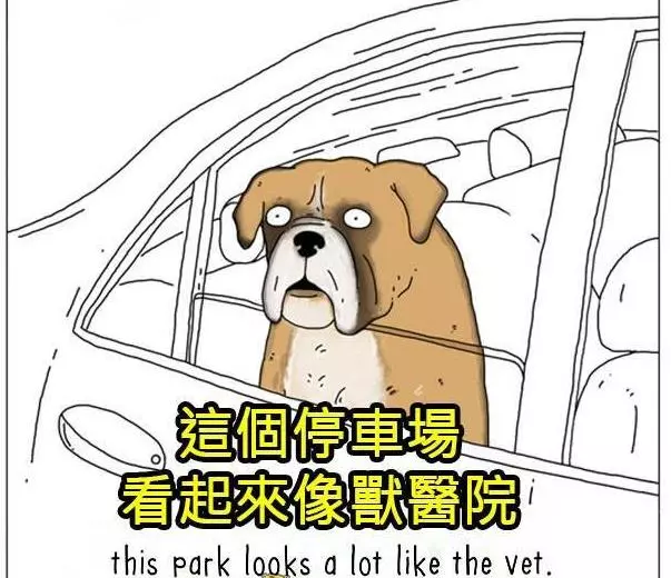 8張動物們內心真實想法爆笑插圖,讓你再也不敢直視你的寵物了