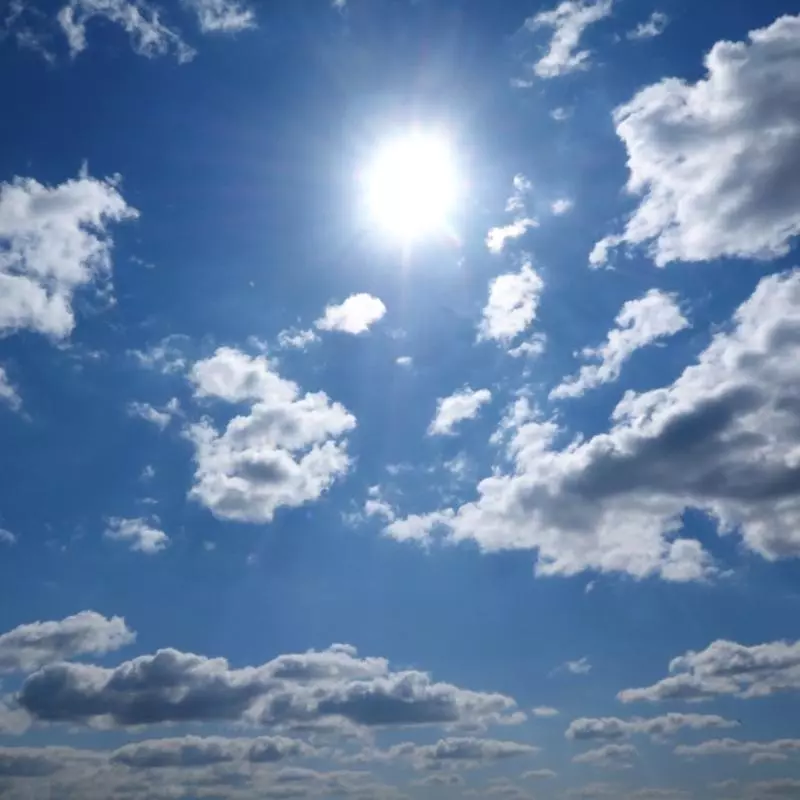 正式進入夏天!來了解關於「立夏」的5個小知識