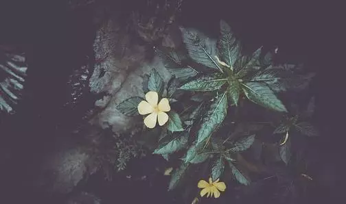 放下很難,但不放下會更苦