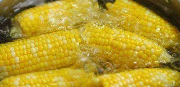 外面賣的煮玉米為什麼那麼好吃?秘訣全在「水」裡