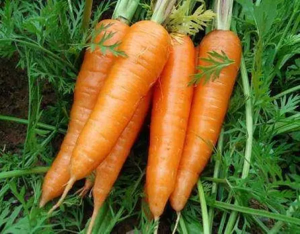 不私藏!108歲中醫爺爺大公開 這幾樣「換血食物」,吃一次就讓你年輕一次! ...