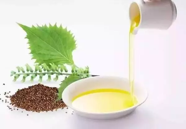 養出好腎臟的8種常見食物!