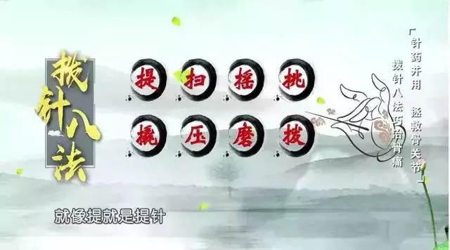 一套簡易「暖膝操」,膝關節更健康,健步如飛不是夢,值得收藏!