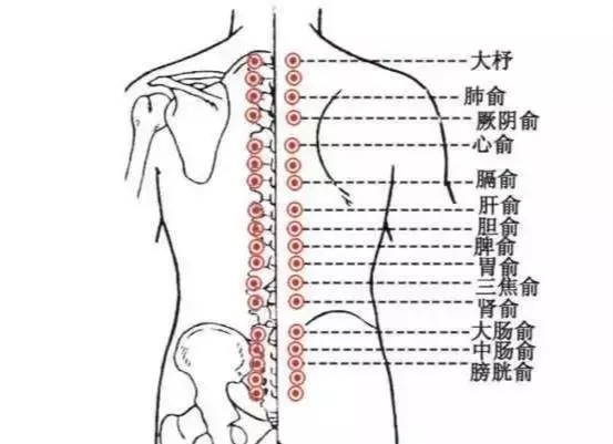 背部刮痧,可以看出一個人的身體健康狀況!