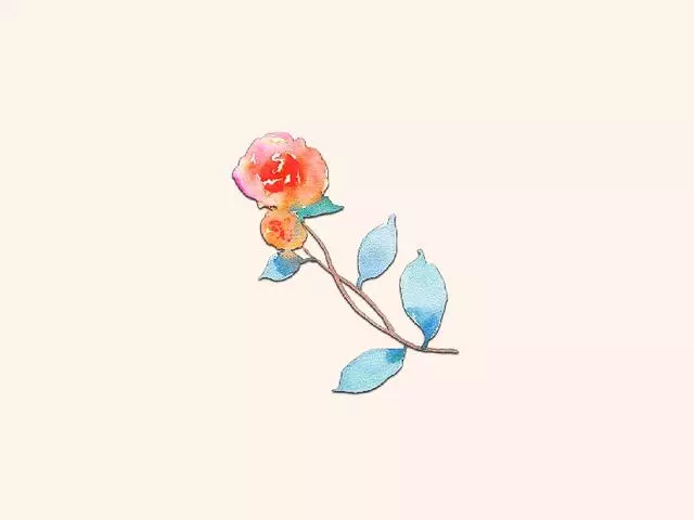 十二星座跟什麼樣的人在一起最容易幸福