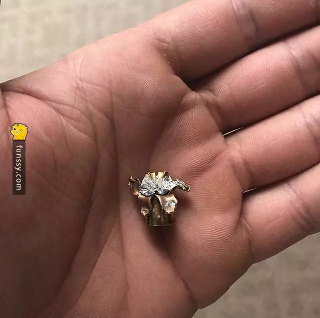 18張看完後真的會讓你有點沉重和心碎的畫面