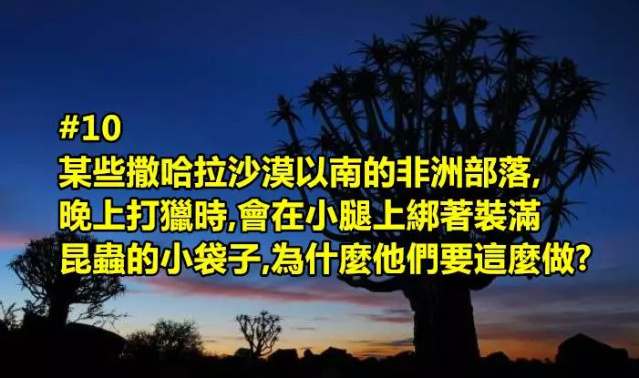19幾道連google都沒有答案的問題