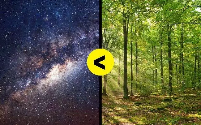 星期四最多寶寶出生?13個「讓你重新愛上統計學」有趣數據
