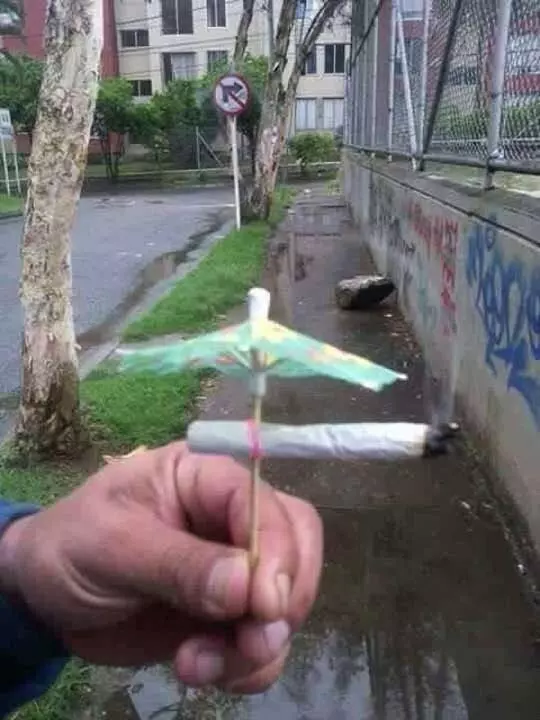 有神快拜！20個已經跳脫人類極限的「過分前衛高招生活絕技」
