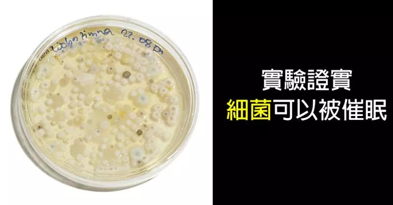 10個讓你不經懷疑自己「其實已經被操控很久了」的恐怖催眠案例。手術前「自我催眠」效果超狂!