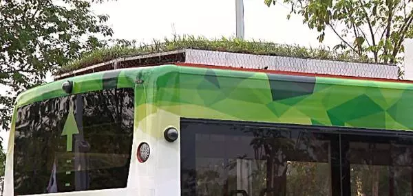 【新加坡】 亞洲首創 ! 新加坡公共巴士車頂種植物 !