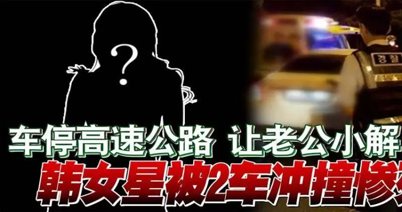 車停高速公路 讓老公小解 韓女星被2車衝撞