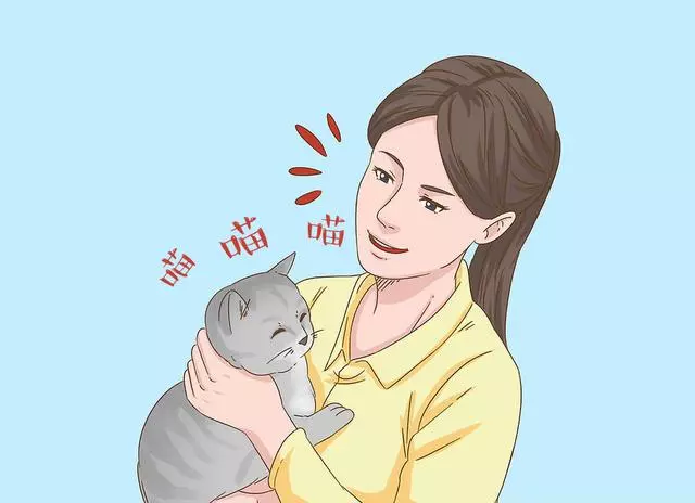 貓咪語言已被破譯,你聽懂了嗎?了解貓咪行為背後的含義!