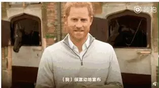 梅根世紀大卸貨,網傳雙胞胎女兒成男嬰,狸貓換太子?