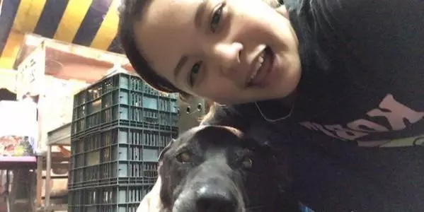 狗狗趴奶奶遺照前離世,感謝16年前的收留,家人把它葬在院子