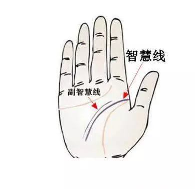 從一個女人的手上就能看出,自己是不是旺夫命,其中有這8個特點