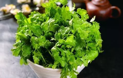 清水煮一寶,百病自然好,咳嗽停了、便秘好了、血管乾淨了、腎臟毒素排光,身體越來越好