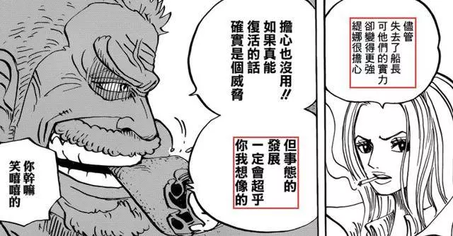 《海賊王》世界中,那些令人難以置信的親密關係!
