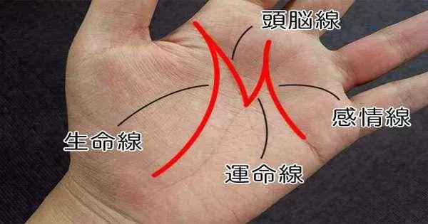 你是「M型手相」嗎?快看你的手!測出你的好命財運!