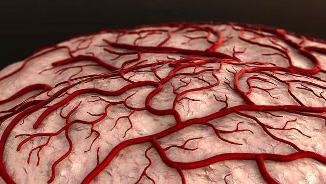 血液為什麼粘稠?與吃關係很大,醫生奉勸:這3類食物再喜歡也不要碰