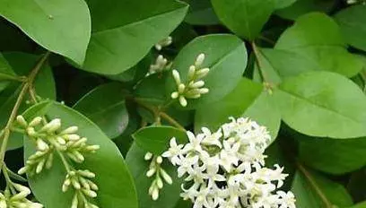 為什麼「中風」越來越多?醫生奉勸:3種食物別吃,會「加速」血管堵塞,再喜歡也要忌口