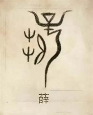每一個姓氏都有專屬的圖騰,意義大不同,看看你的姓氏圖騰是什麼?