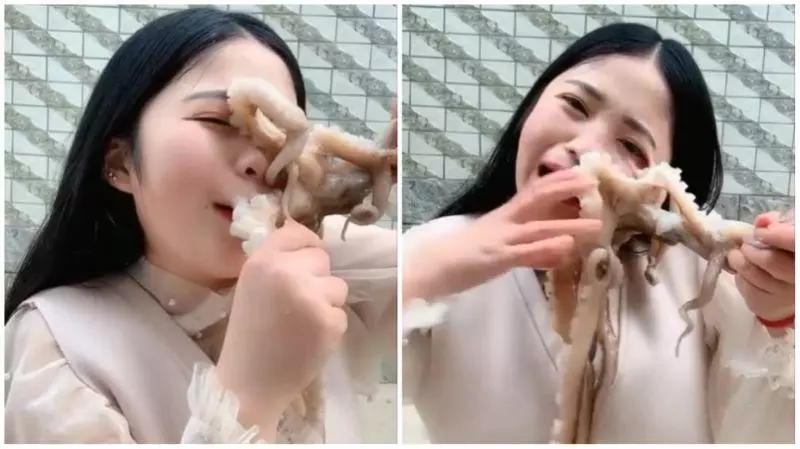 生吞章魚遭逆襲!扒臉吸到變形,女主播噴血飆淚!