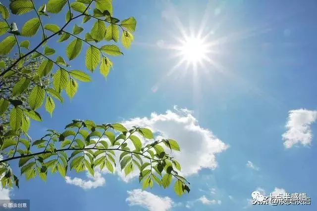 人這一輩子,別想那麼多,過好自己的生活比什麼都重要