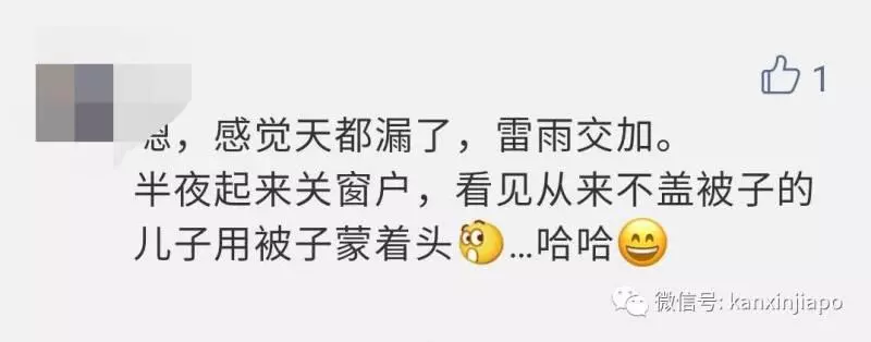 《新加坡》被雷劈了,是誰TMD在發誓