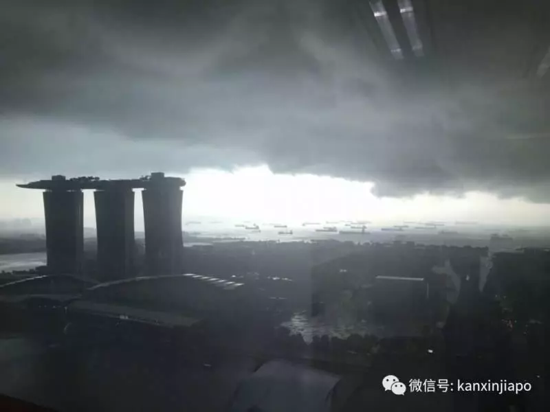 《新加坡》被雷劈了,是誰TMD在發誓