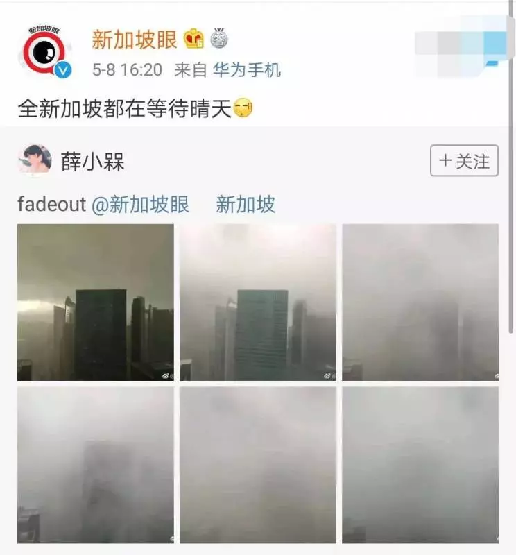 《新加坡》被雷劈了,是誰TMD在發誓