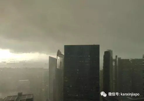 《新加坡》被雷劈了,是誰TMD在發誓