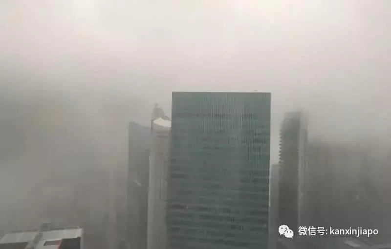 《新加坡》被雷劈了,是誰TMD在發誓