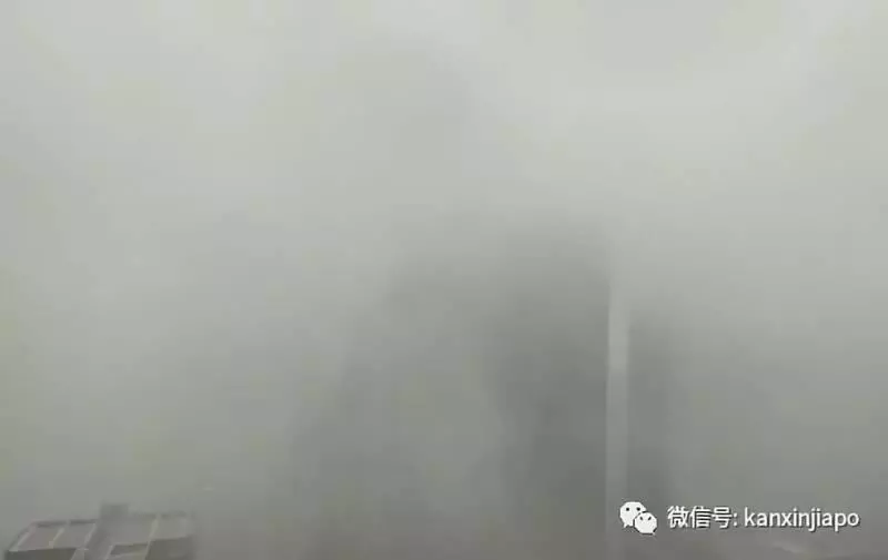 《新加坡》被雷劈了,是誰TMD在發誓