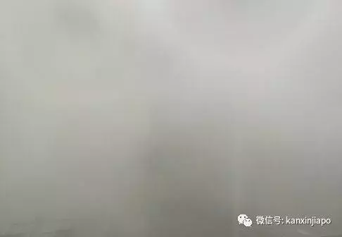 《新加坡》被雷劈了,是誰TMD在發誓