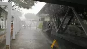 《新加坡》被雷劈了,是誰TMD在發誓