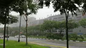 《新加坡》被雷劈了,是誰TMD在發誓
