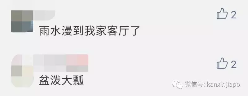《新加坡》被雷劈了,是誰TMD在發誓