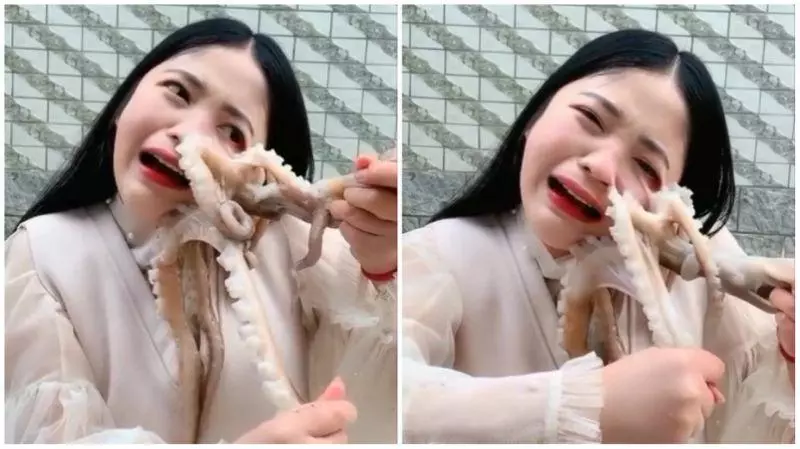 女主播生吞八爪魚被吸住❗ 哭著扯至「臉部扭曲」破相噴血? 網民: 活該‼