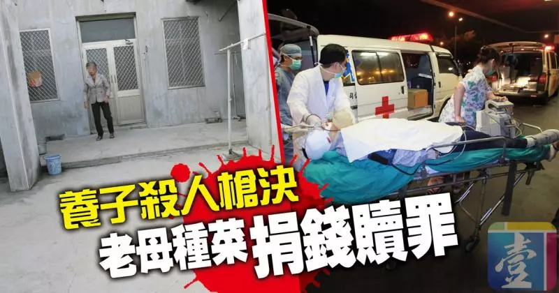 養子殺人槍決 老母種菜捐錢贖罪