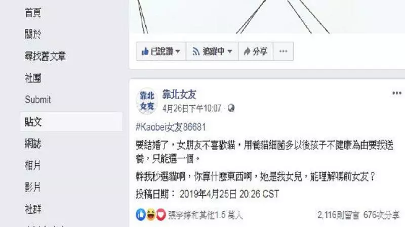 將和女友結婚…她嫌「養貓細菌多」逼送養 男霸氣分手