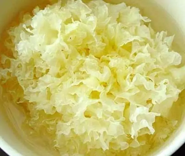 女人40歲後,要多吃這幾種食物,補充膠原蛋白!