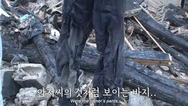 家中火.災爺爺失蹤 狗狗「趴在廢墟中不吃不喝」傻等 感動淚奔