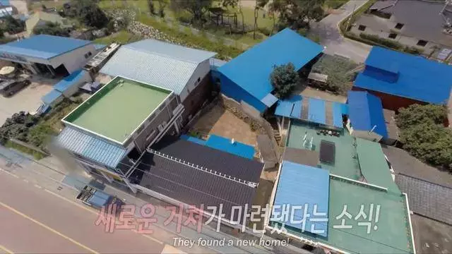 家中火.災爺爺失蹤 狗狗「趴在廢墟中不吃不喝」傻等 感動淚奔