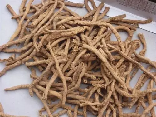 延緩衰老?這三味藥就夠了
