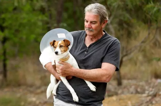 新手主人常犯的十個錯誤,這就是為什麼你的養犬生活並不愉快