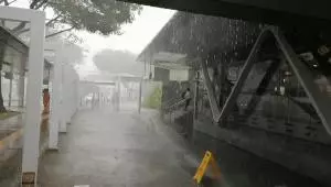 新加坡被雷劈了,不知是哪位仙友在此歷劫?