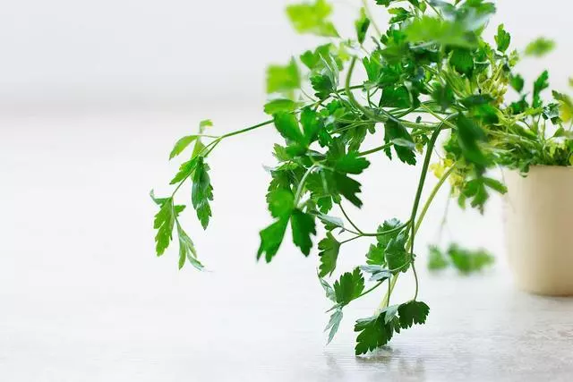 好脾氣最懂得留給家人的4個星座